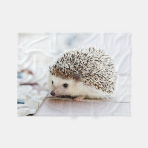Cute Baby Hedgehog Animal Fleece Blanket