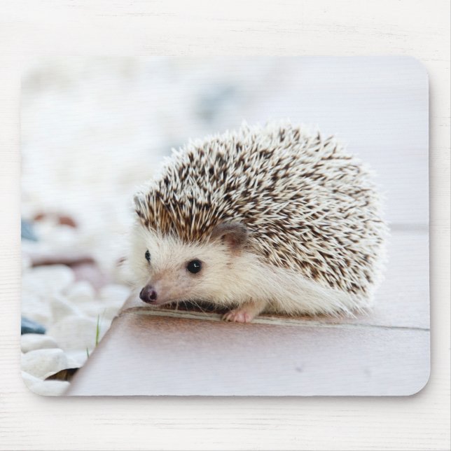 Cute Baby Hedgehog Animal Mouse Pad (Front)
