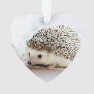 Cute Baby Hedgehog Animal Ornament