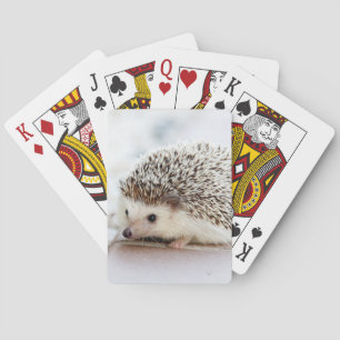 Cute Baby Hedgehog Animal Playing Cards