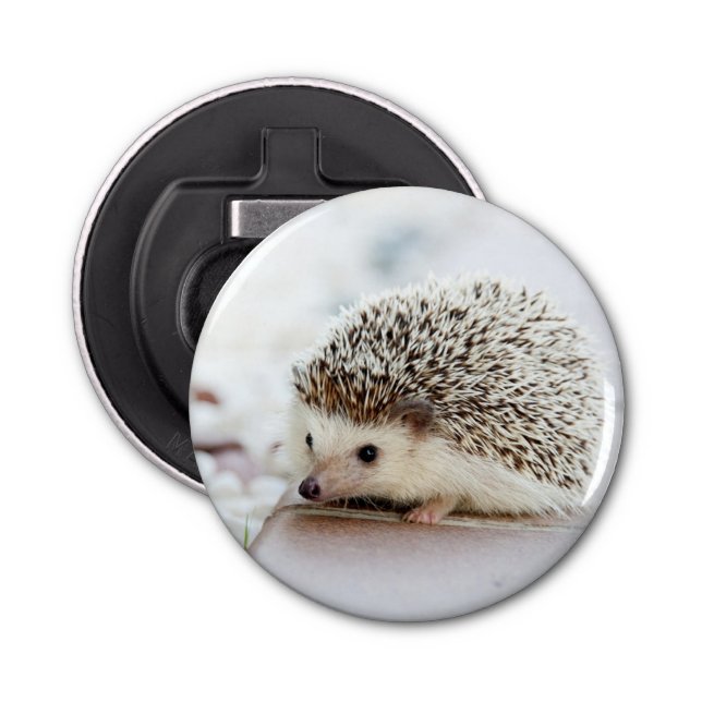 Cute Baby Hedgehog Bottle Opener (Front)