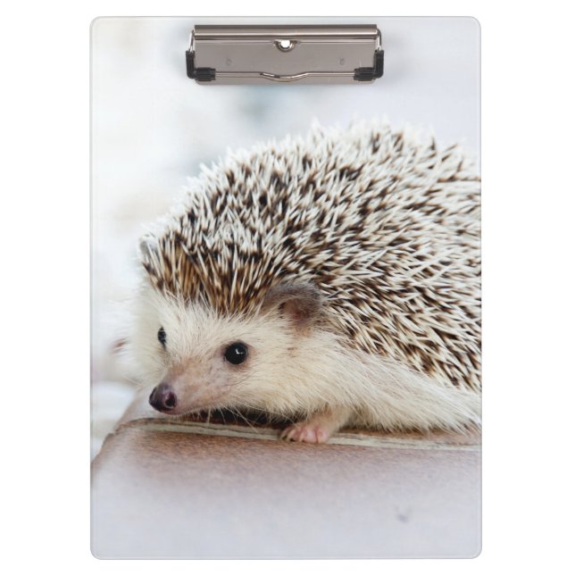 Cute Baby Hedgehog Clipboard (Front)