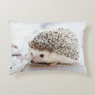 Cute Baby Hedgehog Decorative Cushion