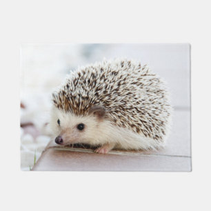 Cute Baby Hedgehog Doormat