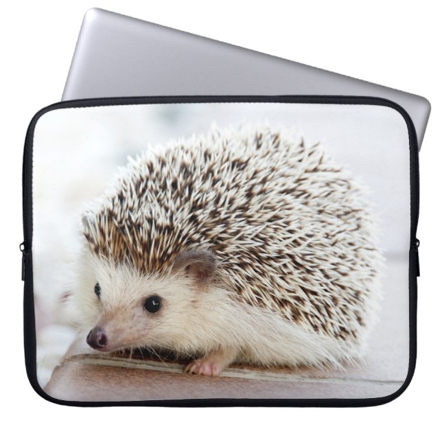 Cute Baby Hedgehog Laptop Sleeve (Front)