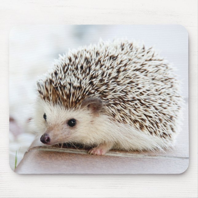 Cute Baby Hedgehog Mouse Pad (Front)