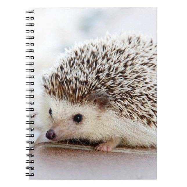Cute Baby Hedgehog Notebook (Front)