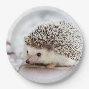 Cute Baby Hedgehog Paper Plate