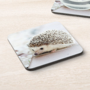 Cute Baby Hedgehog Photo Coaster