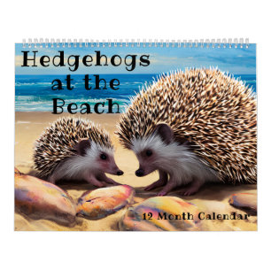 Cute Baby Hedgehog Pictures at the Colourful Beach Calendar