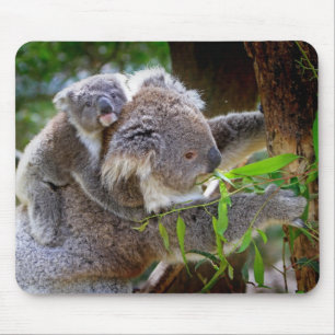 Cute baby koala bear with mum in a tree mouse pad