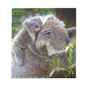 Cute baby koala bear with mum in a tree notepad