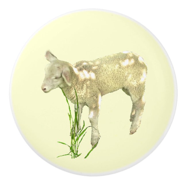 Cute Baby Lamb on Yellow Ceramic Knob (Front)