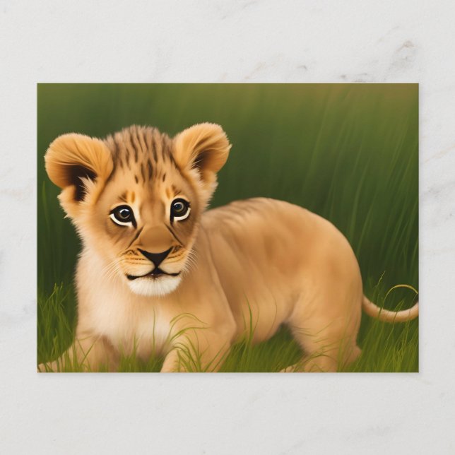 Cute baby lion in the grass postcard (Front)