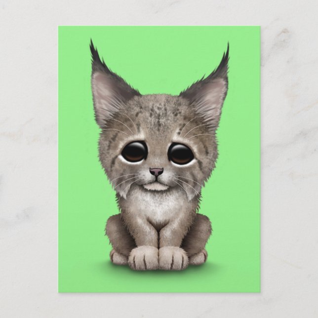 Cute Baby Lynx Cub on Green Postcard (Front)