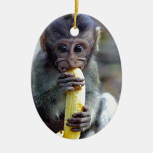 Cute baby macaque monkey eating banana ceramic ornament