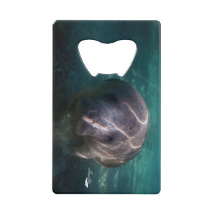 Cute baby manatee credit card bottle opener