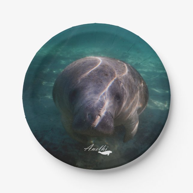 Cute baby manatee paper plates (Front)