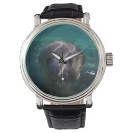 Cute baby manatee watches for men, women and kids
