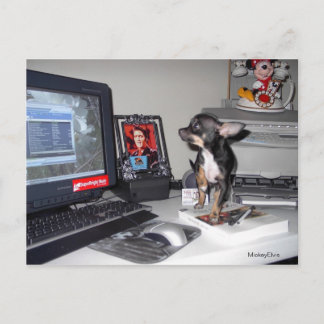 Cute Baby MickeyElvis 1 Postcard