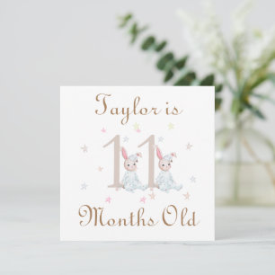 Cute Baby Milestones Markers 11 and 12 Months Old