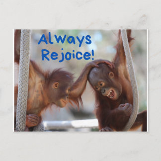 Cute Baby Orangutan Always Rejoice Postcard