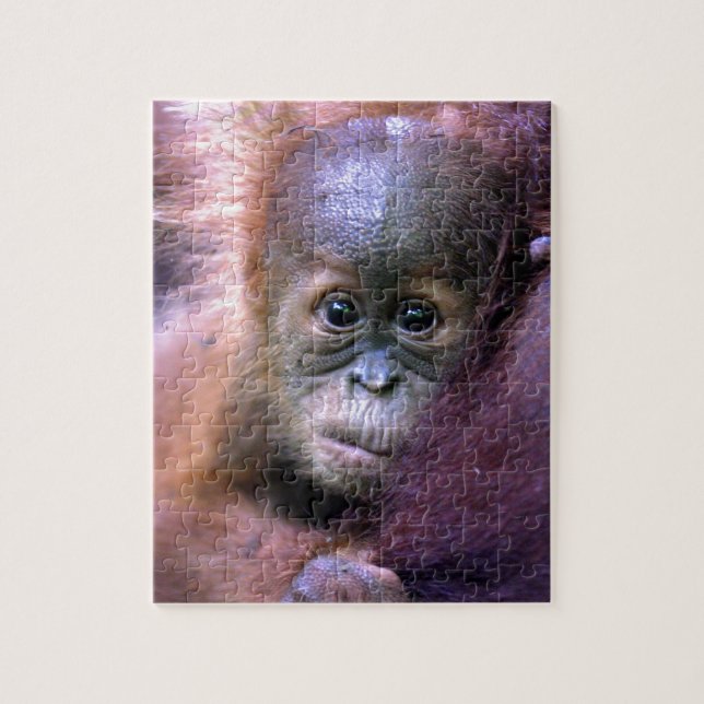 Cute baby orangutan in Sumatra Jigsaw Puzzle (Vertical)