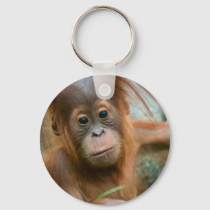 Cute Baby Orangutan looking straight ahead Key Ring