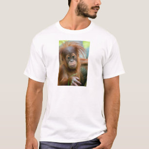 Cute Baby Orangutan looking straight ahead T-Shirt