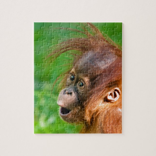 Cute baby orangutan looks on in wonder jigsaw puzzle (Vertical)