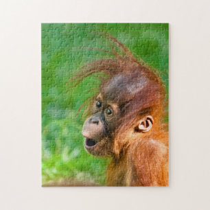Cute baby orangutan looks on in wonder jigsaw puzzle