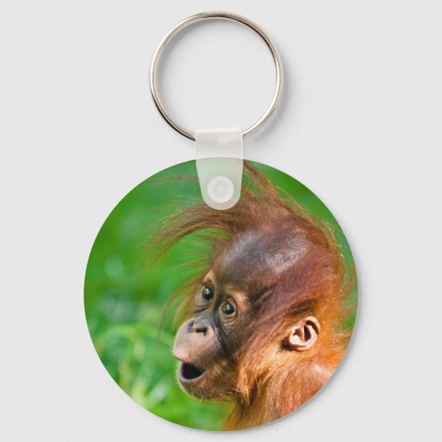 Cute baby orangutan looks on in wonder key ring (Front)