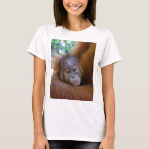 Cute baby Orangutan T-Shirt