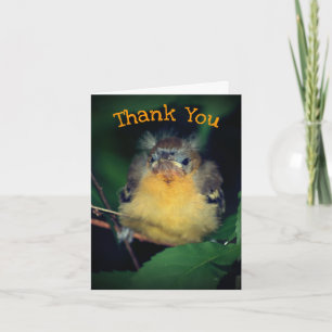 Cute Baby Oriole Bird Nature Thank You Card