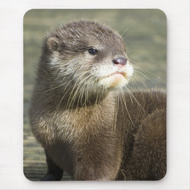 Cute Baby Otter Mouse Pad (Front)