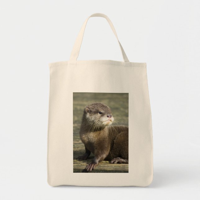 Cute Baby Otter Tote Bag (Front)