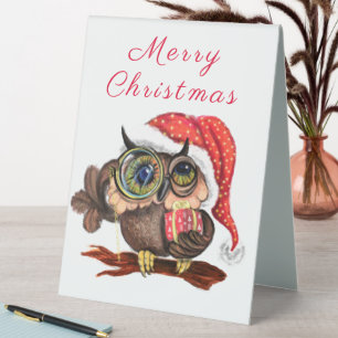 Cute Baby Owl In Christmas Hat and Gift For You