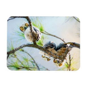 Cute Baby Owls Wildlife Photography Magnet
