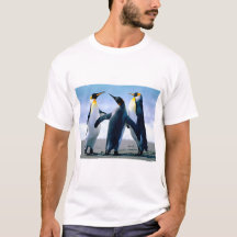 Cute Baby Penguin Winter Art
