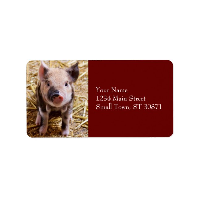 Cute Baby Piglet Farm Animals Barnyard Babies Label (Front)
