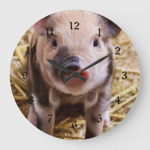 Cute Baby Piglet Farm Animals Barnyard Babies Large Clock