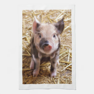 Cute Baby Piglet Farm Animals Barnyard Babies Tea Towel
