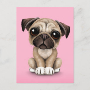Cute Baby Pug Puppy Dog on Pink Postcard