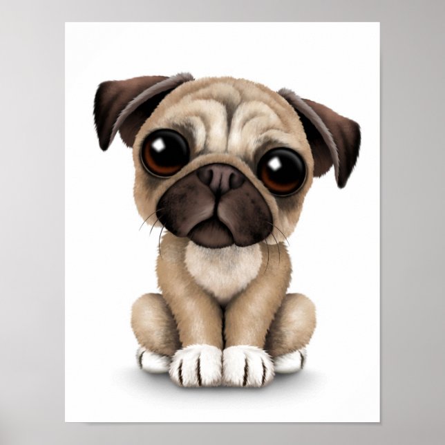 Cute Baby Pug Puppy Dog on White Poster (Front)