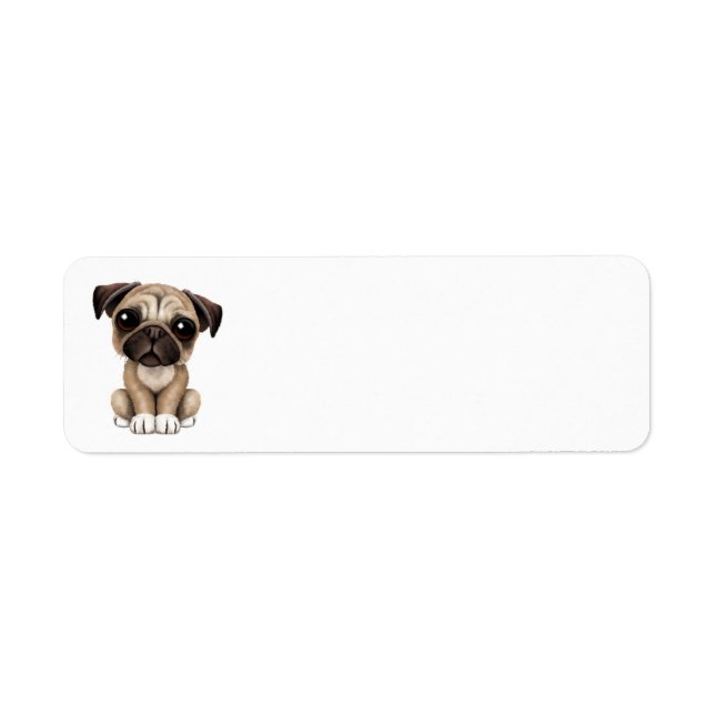 Cute Baby Pug Puppy Dog Return Address Label (Front)