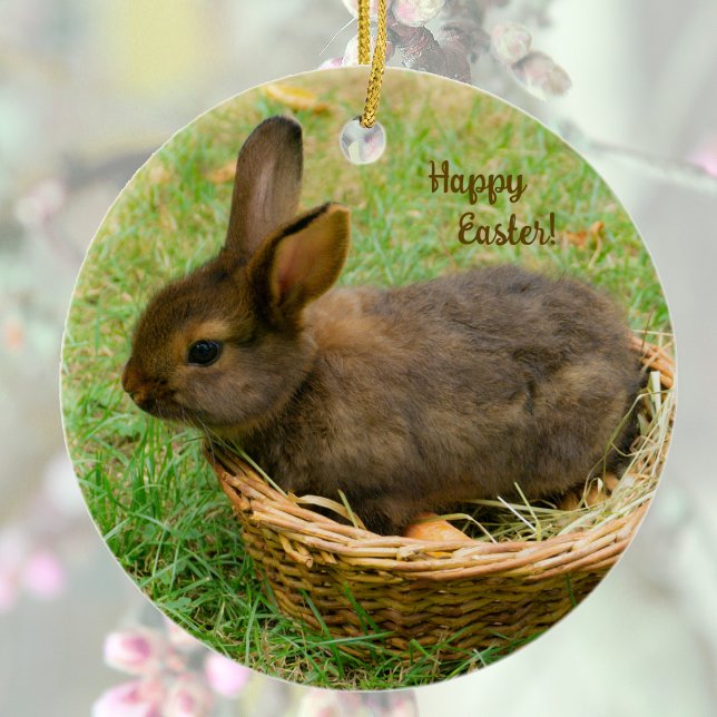 Cute baby rabbit - easter bunny ceramic ornament (Creator Uploaded)