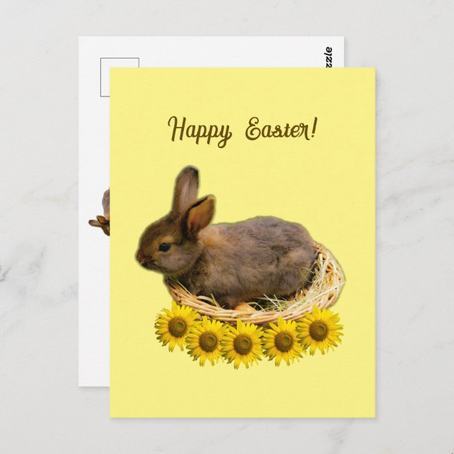 Cute baby rabbit - easter bunny  postcard (Front/Back)