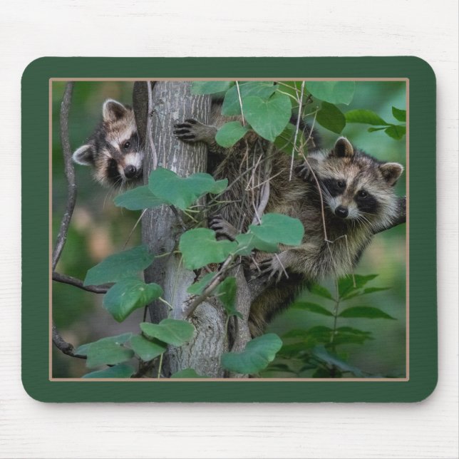 Cute Baby Raccoons Mouse Pad (Front)