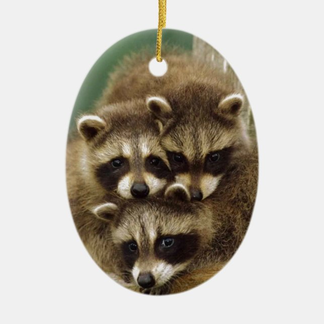 Cute Baby Racoon Ceramic Tree Decoration (Front)