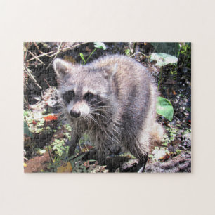 Cute Baby Racoon Foraging Jigsaw Puzzle